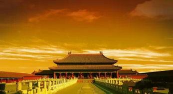 故宫最新爆料视频大全,最新爆料视频大全带你领略皇家风采