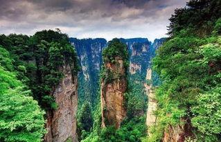 张家界最新新闻爆料,神秘洞穴发现罕见生物,探险之旅再掀热潮 第2张 张家界最新新闻爆料,神秘洞穴发现罕见生物,探险之旅再掀热潮 第2张